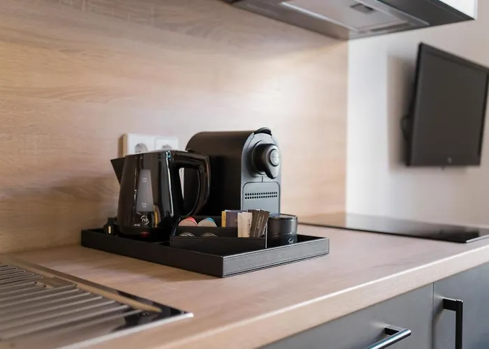 Homaris Boxi Studios